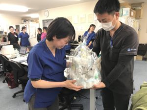 元気な赤ちゃんを産んでください ボンズシップ訪問看護リハビリステーション 元気な赤ちゃんを産んでください ボンズシップ訪問看護リハビリステーション