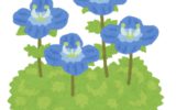 新緑の季節🌿🌼