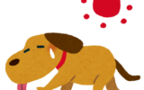 まだまだ？