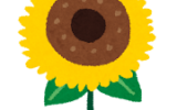 やっとだね！