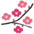 梅まつり🤗